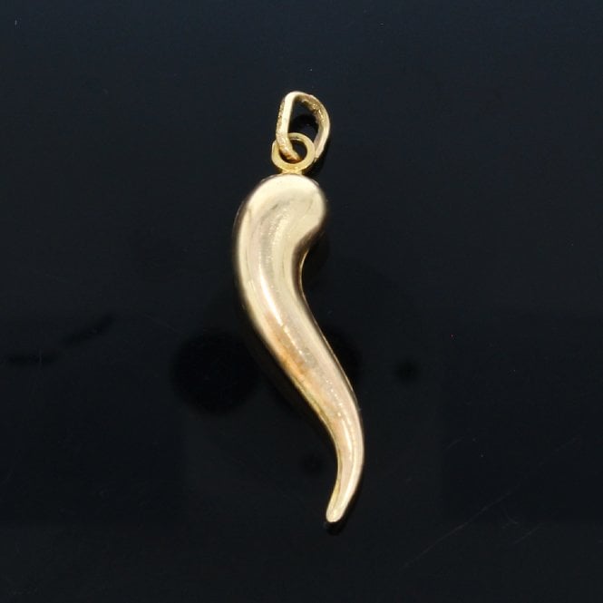 9ct Yellow Gold Horn of Plenty Pendant