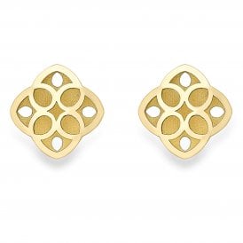 9ct Yellow Gold Stud Earrings