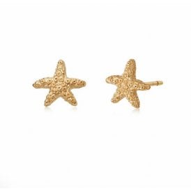 Isla Starfish Gold Plate Stud SE08_GP 