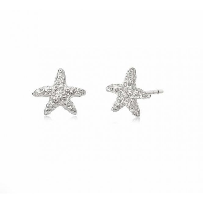 Daisy Isla Starfish Studs Silver SE08_SLV 