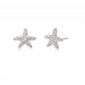 Isla Starfish Studs Silver SE08_SLV 