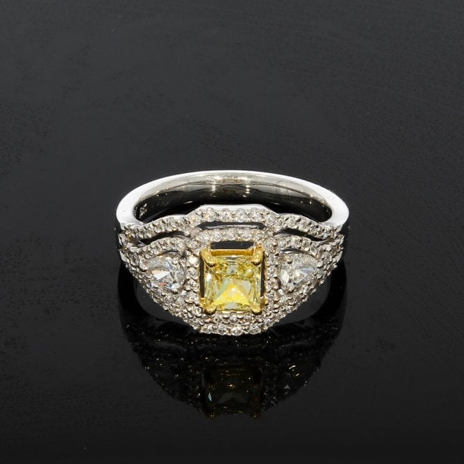Diamond 0.70 Carat Gold Yellow Princess Cut 0.72ct Cluster 18ct White Gold Dress Ring