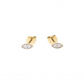 9ct Yellow Gold Stud Earrings  