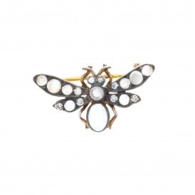 Moth Brooch