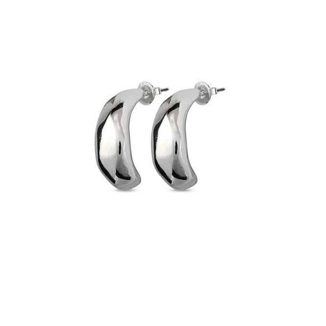 Drops Loops Silver Plated Silver Earrings PEN0792MTL0000U