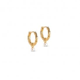 Belle Pearl Hoop Earrings E271GM YGP