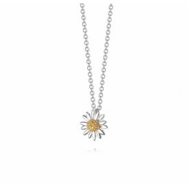 English Daisy Necklace 10mm N2001 