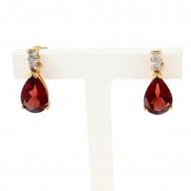9ct Yellow Gold Earrings 