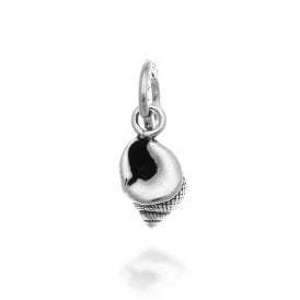 Ammolite Shell Charm 10201