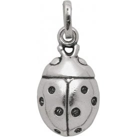 Ladybird Charm 06444