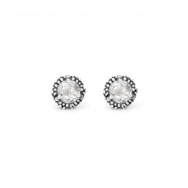 Shine Stud Earrings 11995