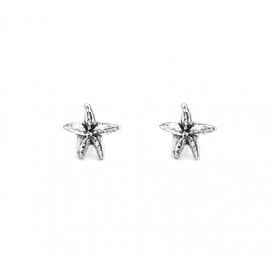 Starfish Small Earrings 07996