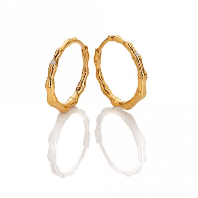 HD X GE YGP BONDI HOOP EARRINGS DE842