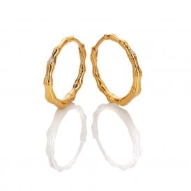 HD X GE YGP BONDI HOOP EARRINGS DE842