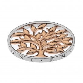 Balance & Harmony 33mm Coin EC479 