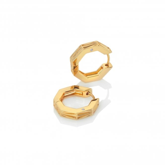 Hot Diamonds Hope Earrings DE679 