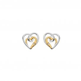 Interwoven Heart Earrings DE847