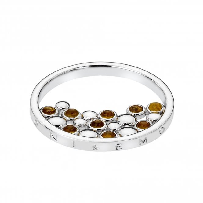 Hot Diamonds Nettare Amber 25mm Coin EC489 