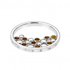 Nettare Amber 25mm Coin EC489 