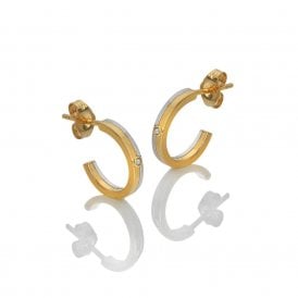 Parellel Two Tone Earrings DE863