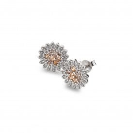 Spizzare Purity & Loyalty EE032 