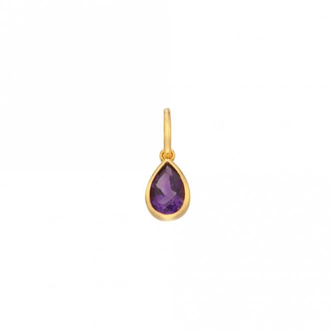 Hot Diamonds YGP Birthstone February Pendant DP986