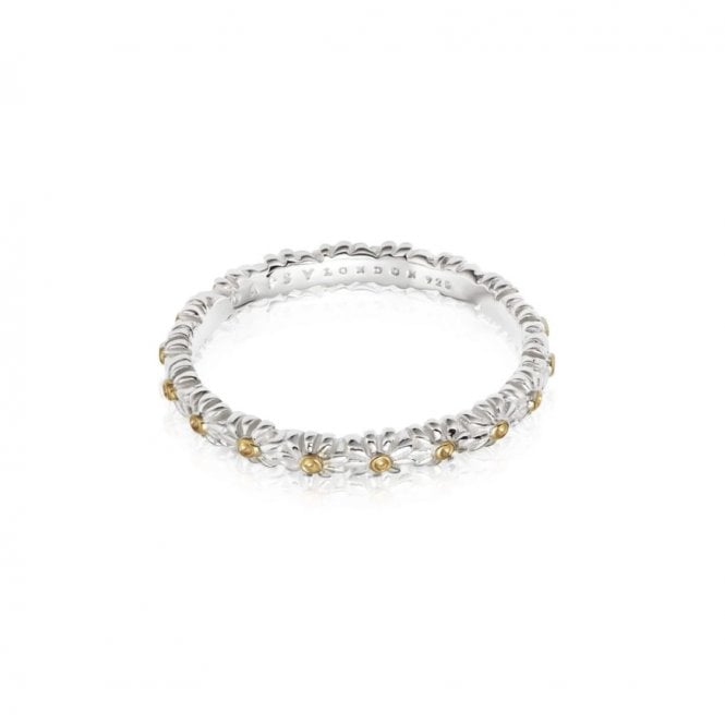 Daisy IOTA RING SR414_SLV_XL