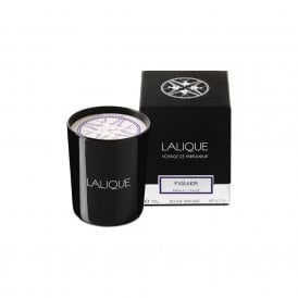 Amalfi Fig Tree Candle (10306500)