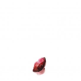 Anemone Red (10443200)