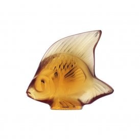 Fish Amber (3000700)