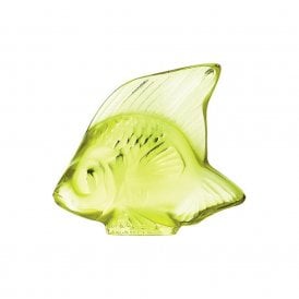 Fish Anise Green (3003300)