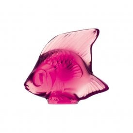 Fish Fuchsia (3003400)