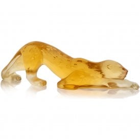 Panther Zeila Amber (10492800)