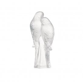 Two Parakeets Clear (1211900)