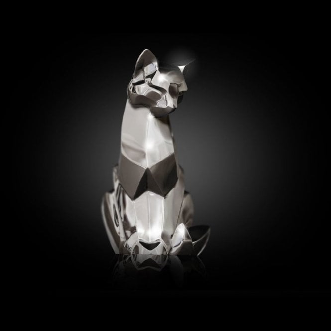 Nomi Cat Sitting (4007s)