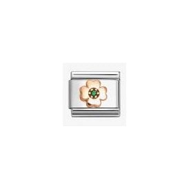 CLOVER & GCZ 430305/44