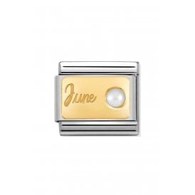 Composable Classic Link "June Pearl" Gold  030519-06 