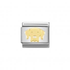 Composable Classic Link "Labrador" Gold 030162/57