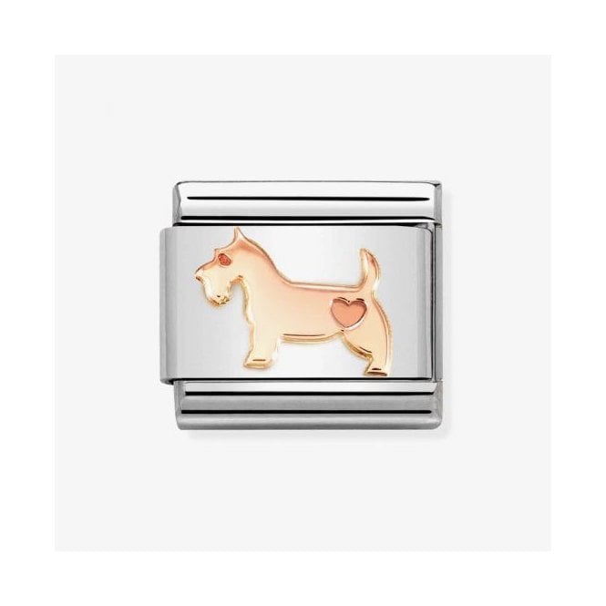 Nomination DOG 430104/49