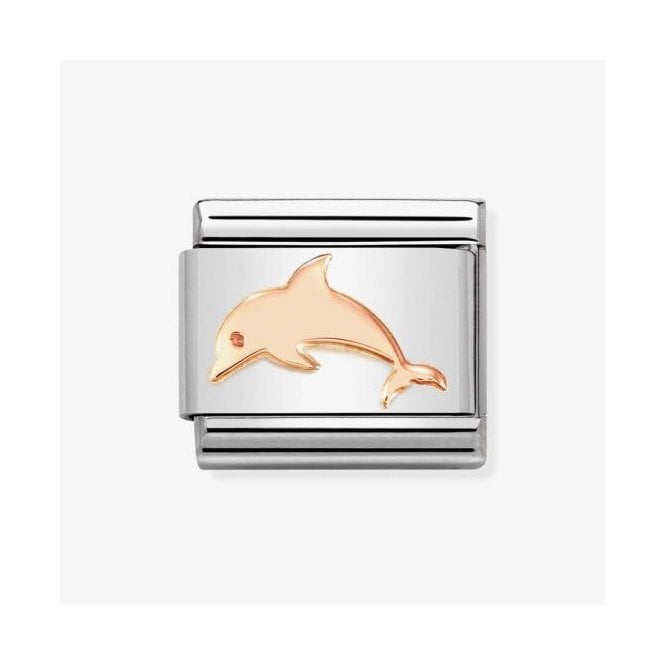 Nomination DOLPHIN 430104/53