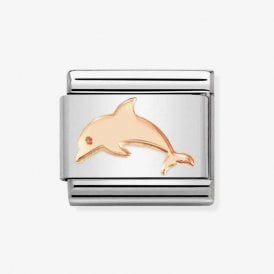 DOLPHIN 430104/53