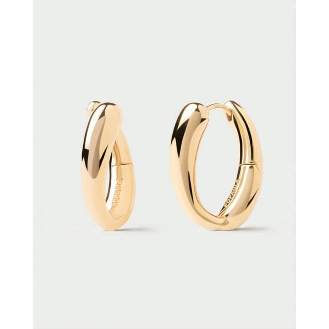 PDPAOLA Helix Hoop Earrings AR01-E15-U YGP