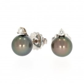 18ct White Gold Tahitian Mikimoto Diamond Ear Studs