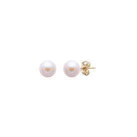 Cultured 6-6.5mm River Pearl 9ct Yellow Gold Earring Studs