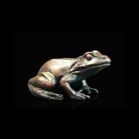 Baby Frog Sitting (933)
