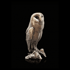 Barn Owl (2083)