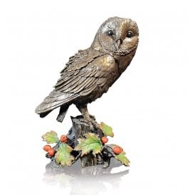 Barn Owl with Hawthorne (1163)