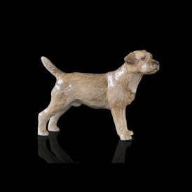 Border Terrier (107BC)