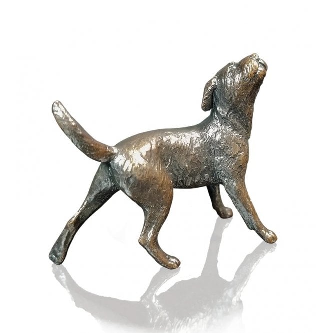 Richard Cooper & Company Border Terrier (1157)