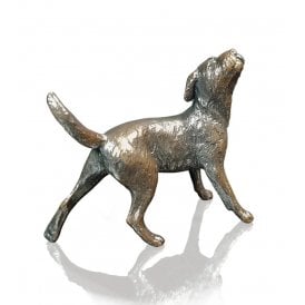 Border Terrier (1157)